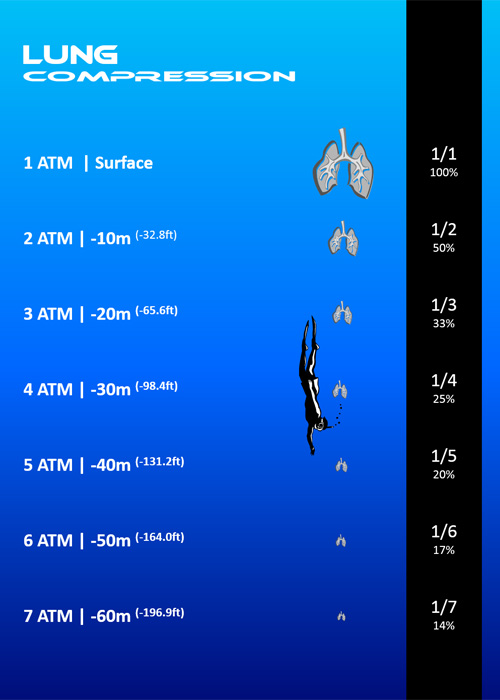 Lung Compression Chart